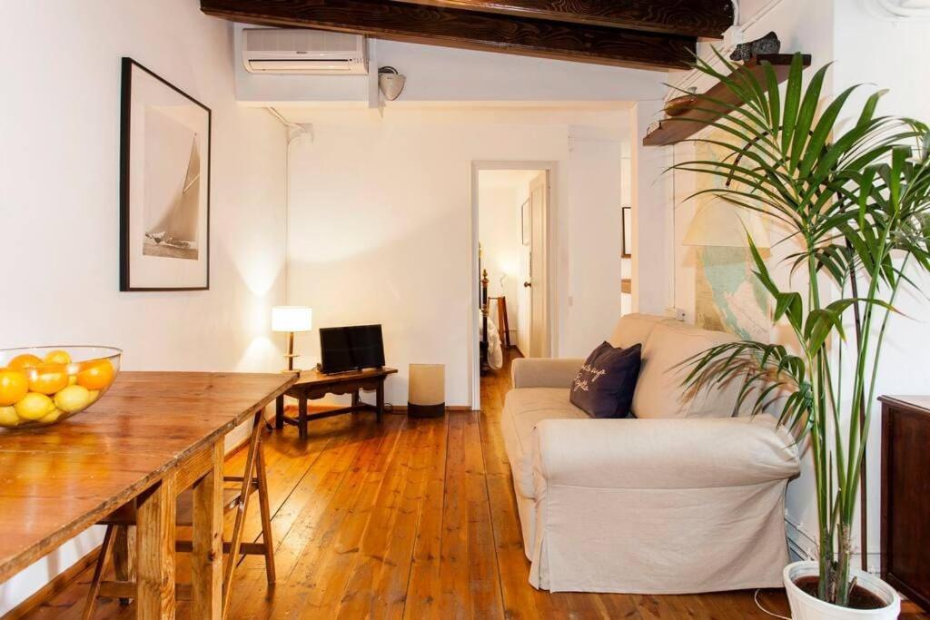 Canela Homes Born Apartment