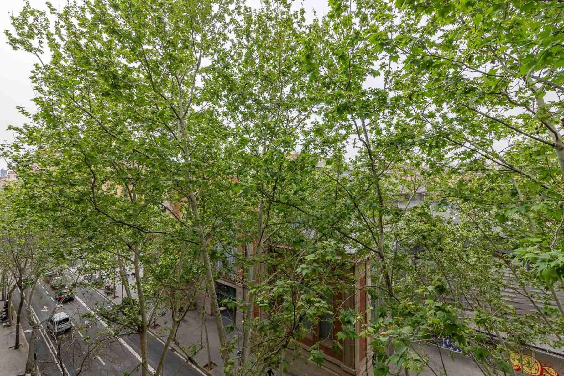 My Space - Spacious And Modern Near The Hospital Clinic * Barcelona