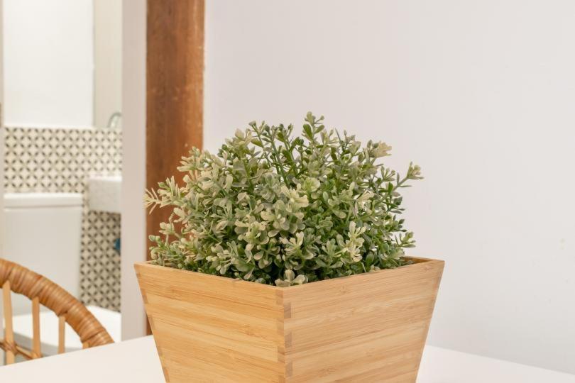 Apartment Cozy With Balcony Sqm *