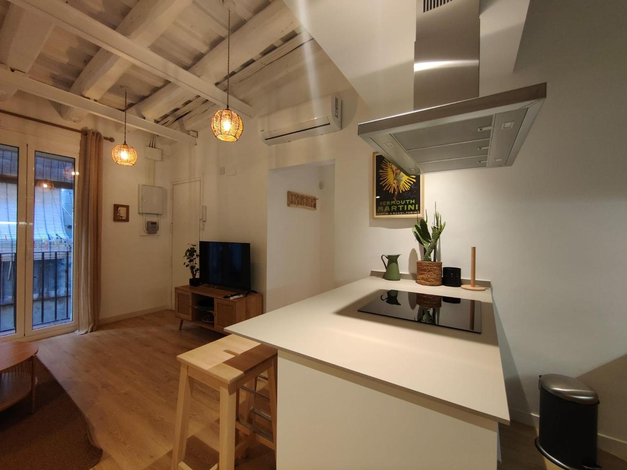 2br Central Location Appartement
