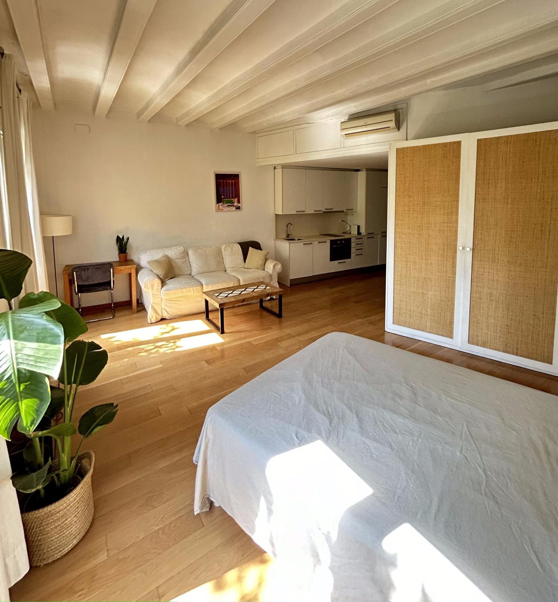 Apartment Loft Esquerra Eixample