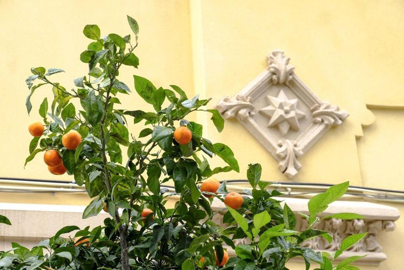 Appartement Poblenou Amazing Charm
