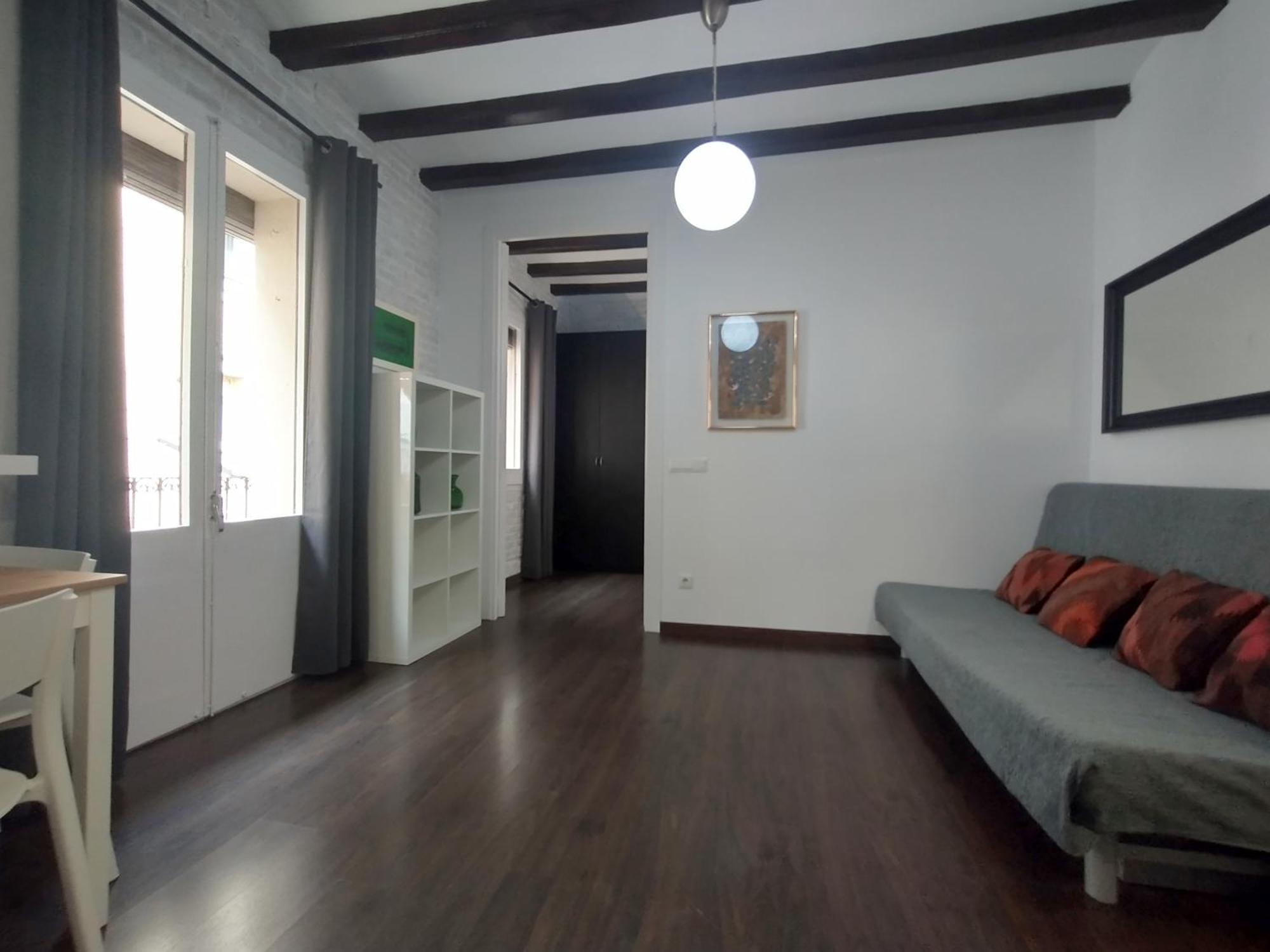 Apartment Barceloneta *