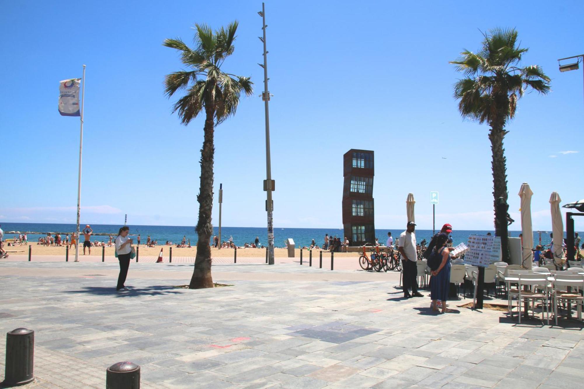 Only 100 Meters From The Apartment Barcelona