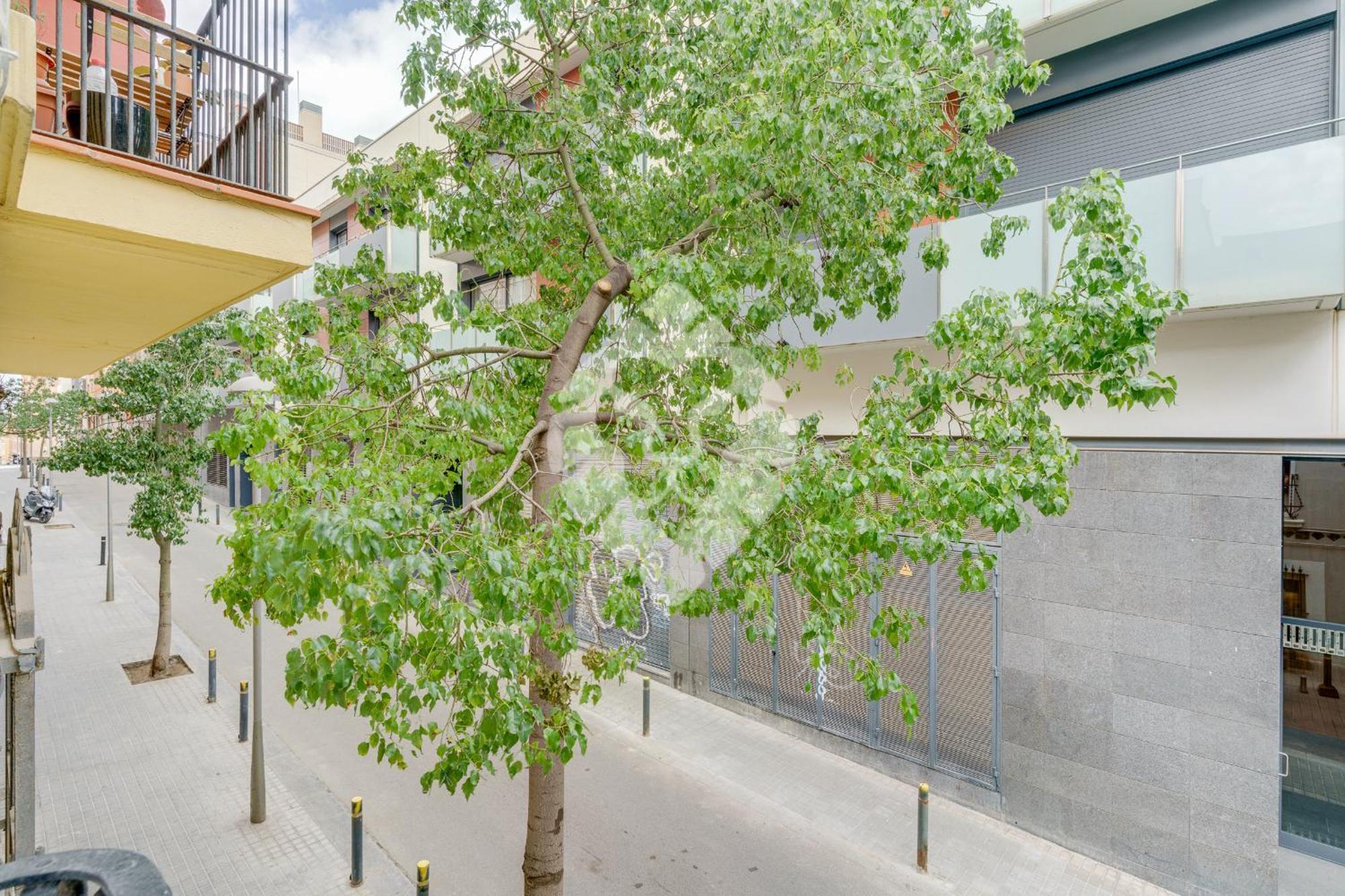 Apartment Piso Ideal Con 3 3 Banos Y Terraza *