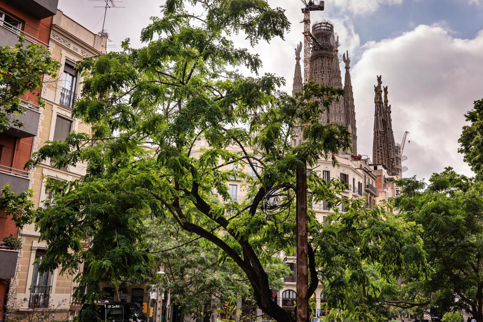Sweet - Rosemarine Appartement Barcelona