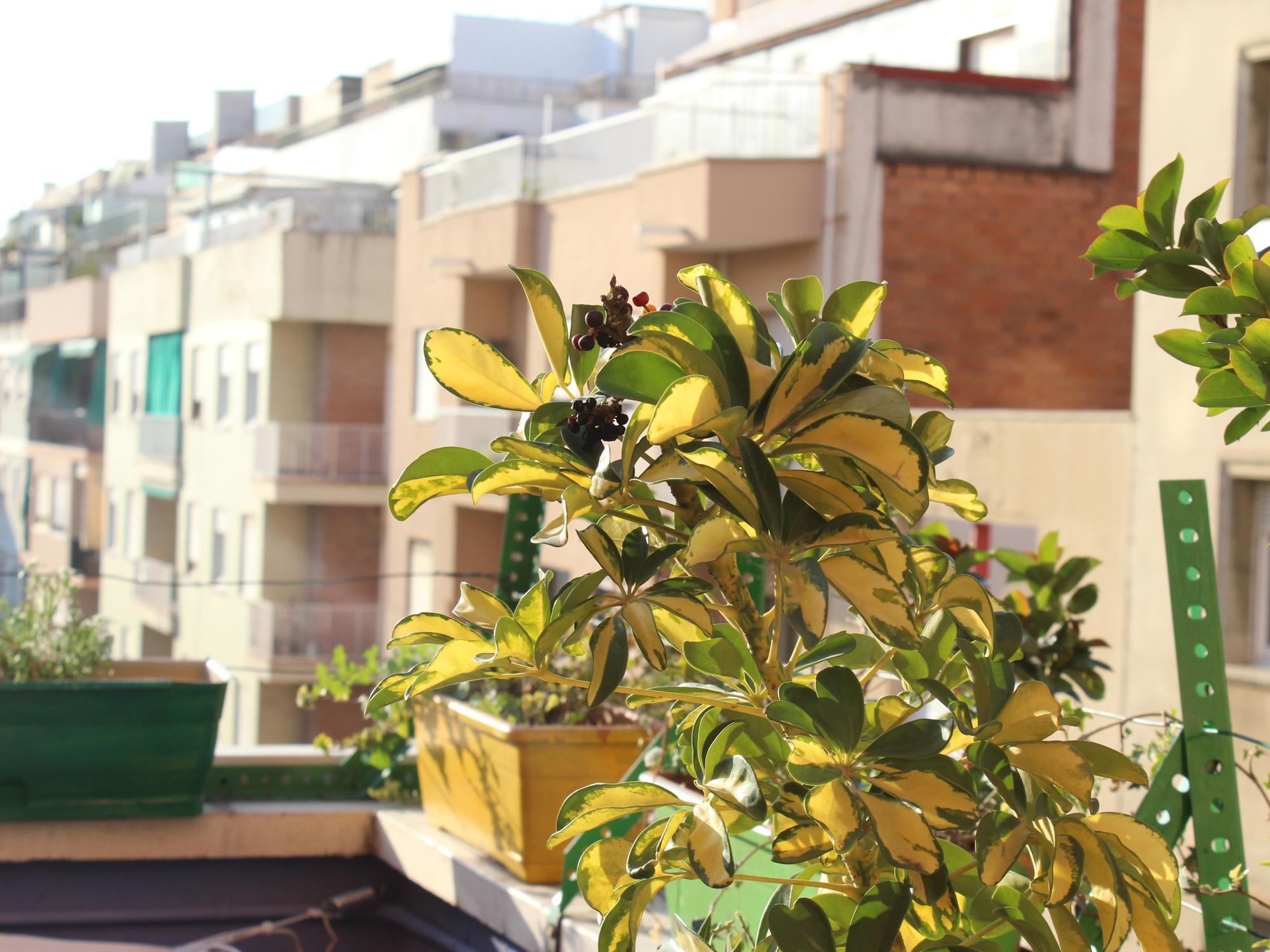 One Sants Hostel Barcelona