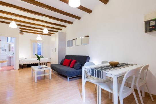 Loft Gracia Apartment Barcelona