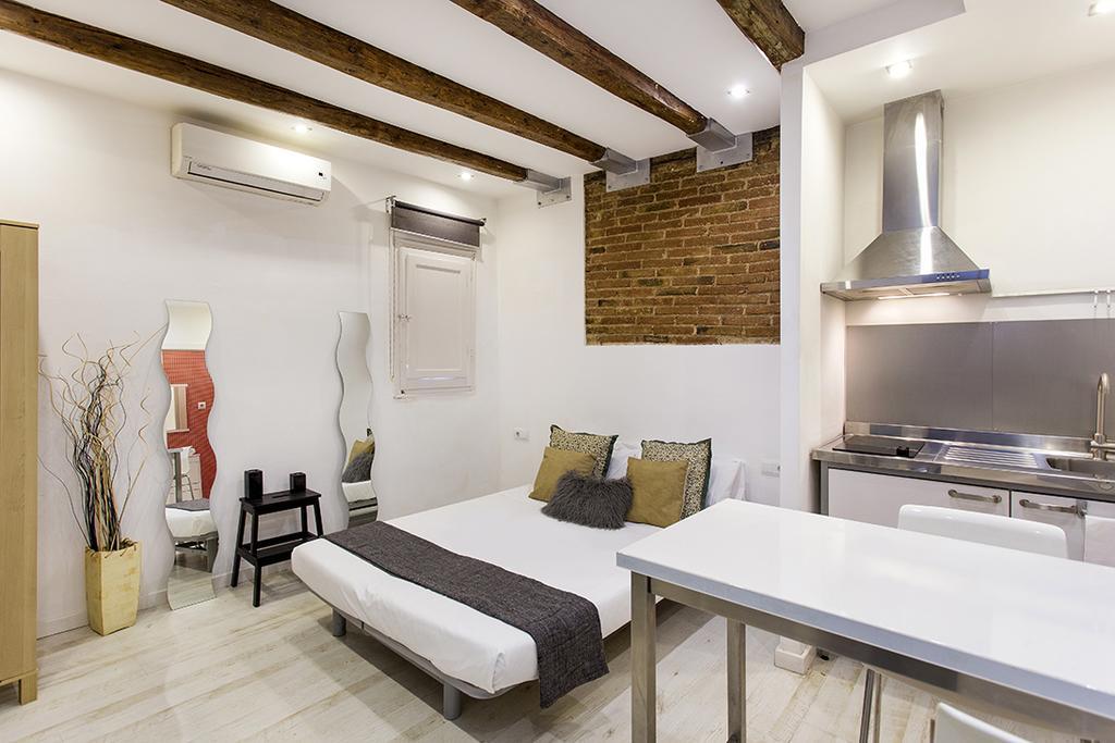 Studio Carrer Del Torrent De L'olla Apartment Barcelona
