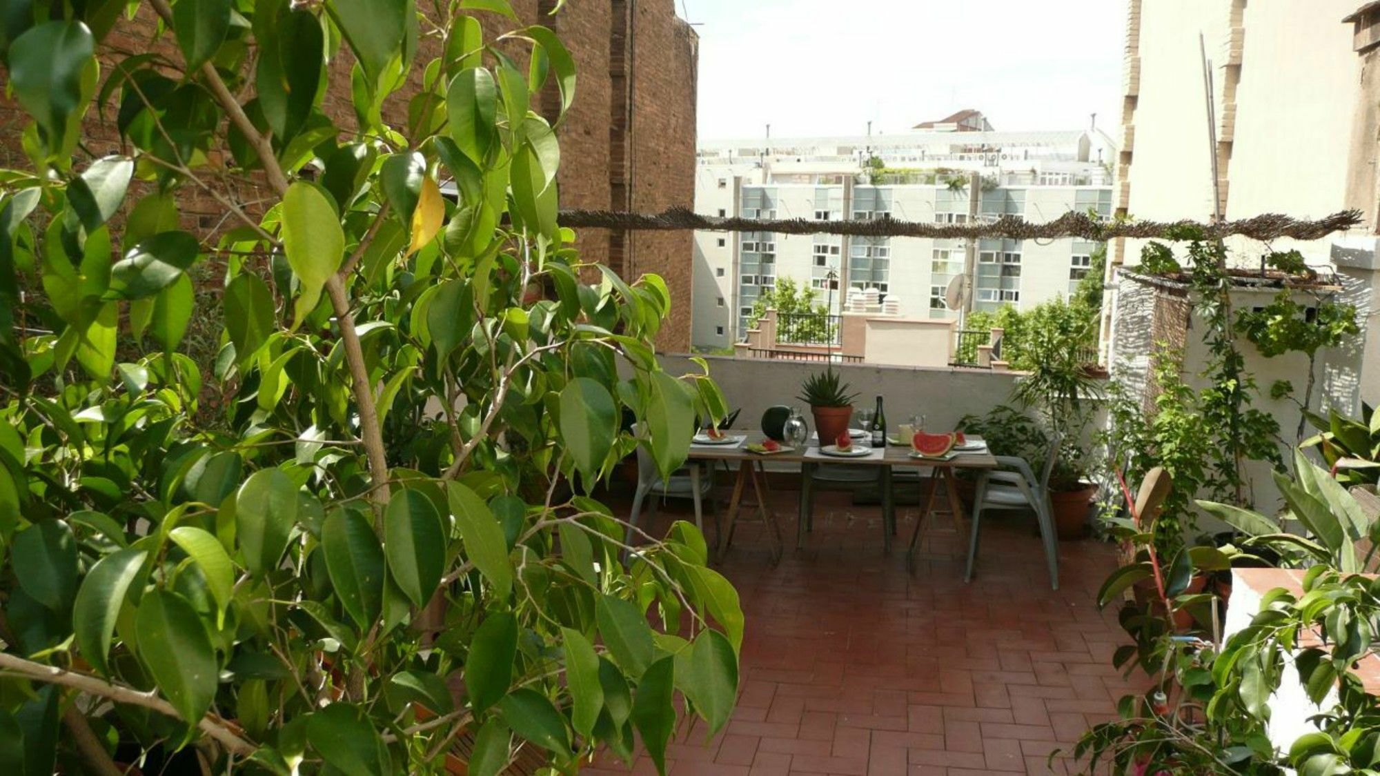 Watermelon - Penthouse Barcelona