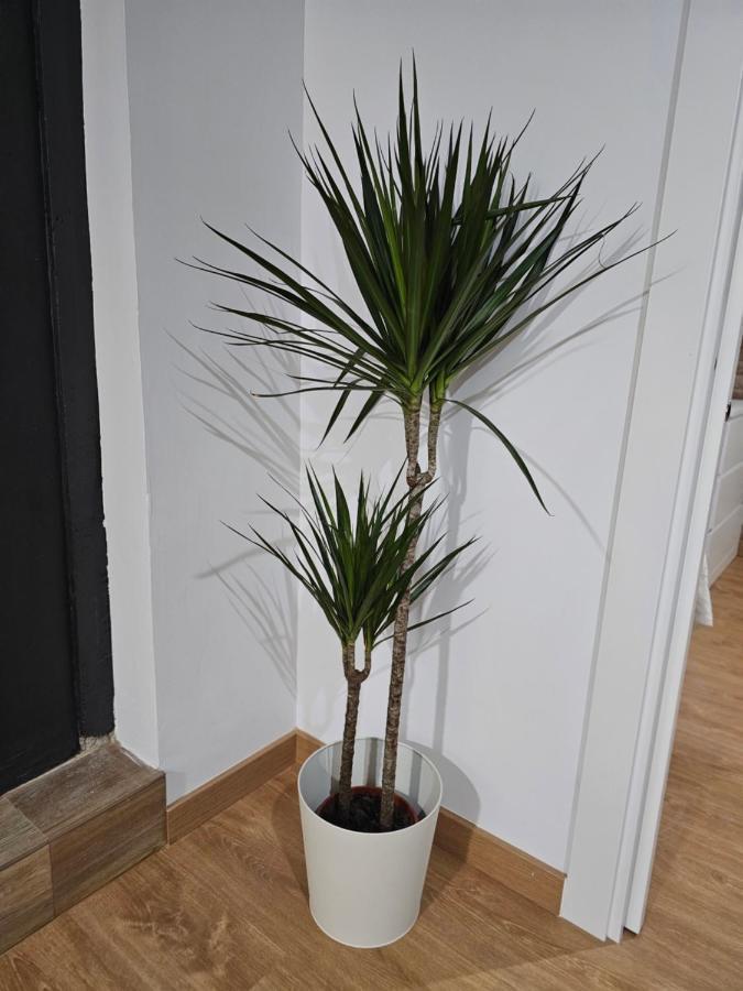 Appartement Permar Plz *