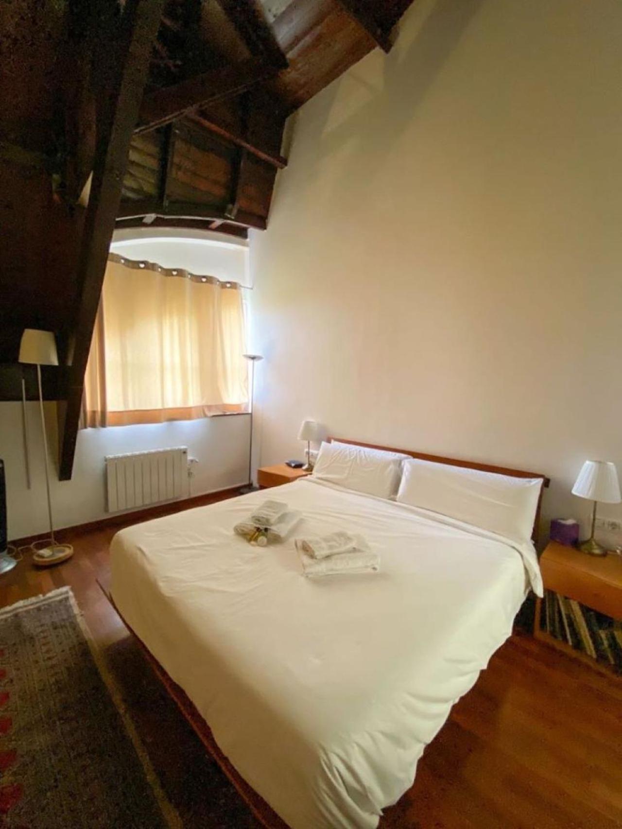 Passeig De Gracia Loft Appartement *