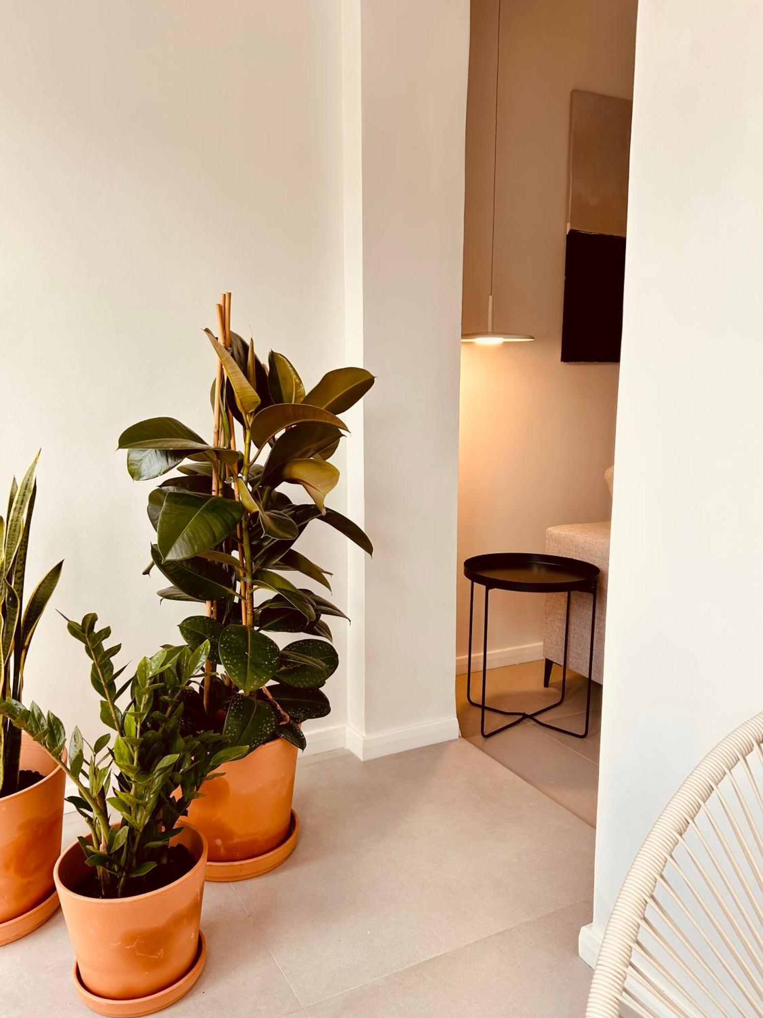 Flat By Forgetmenot Apartment Barcelona