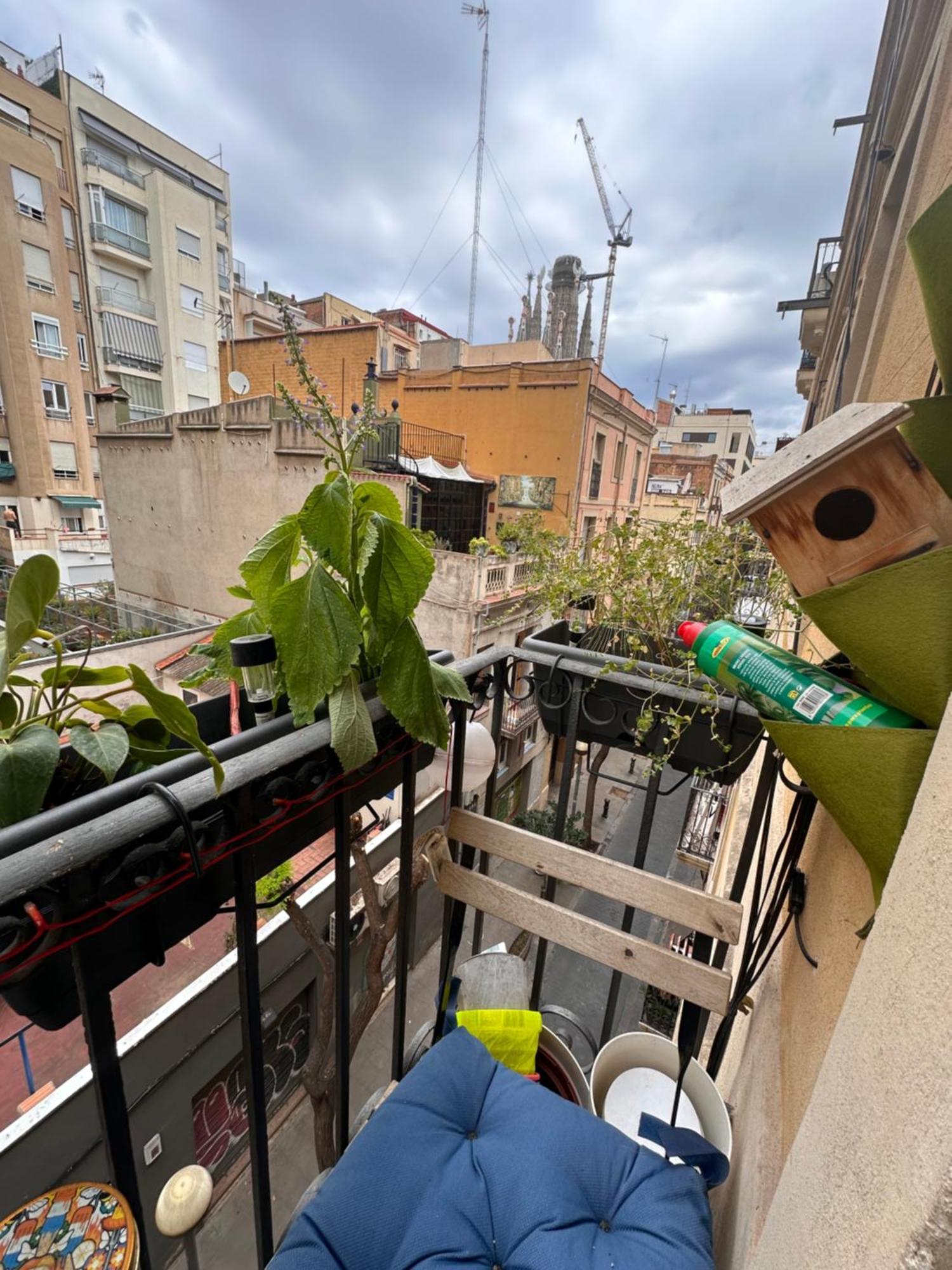 Apartment Con Vistas A Sagrada Familia *