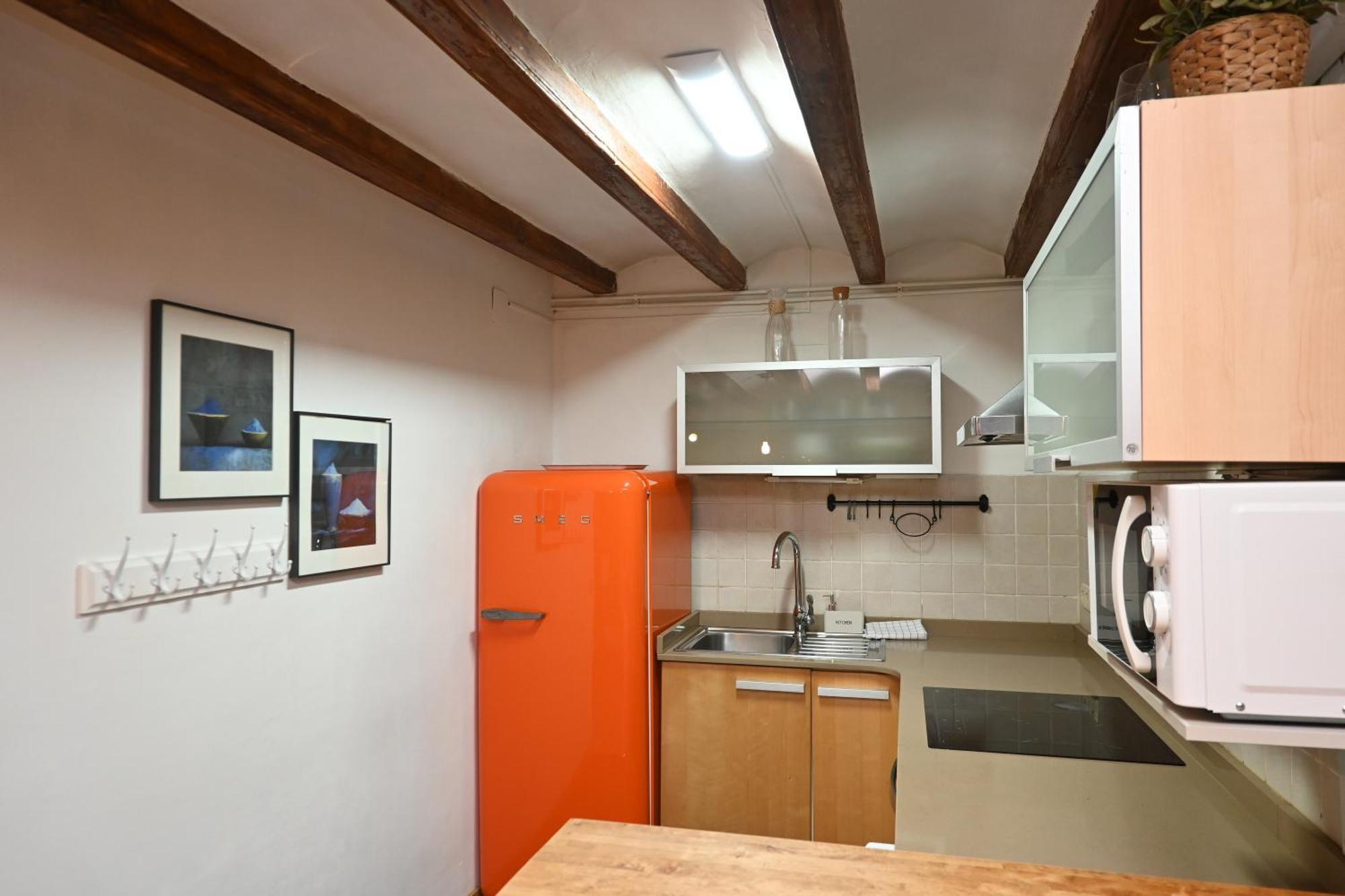 Homenfun Poblenou Apartment Barcelona