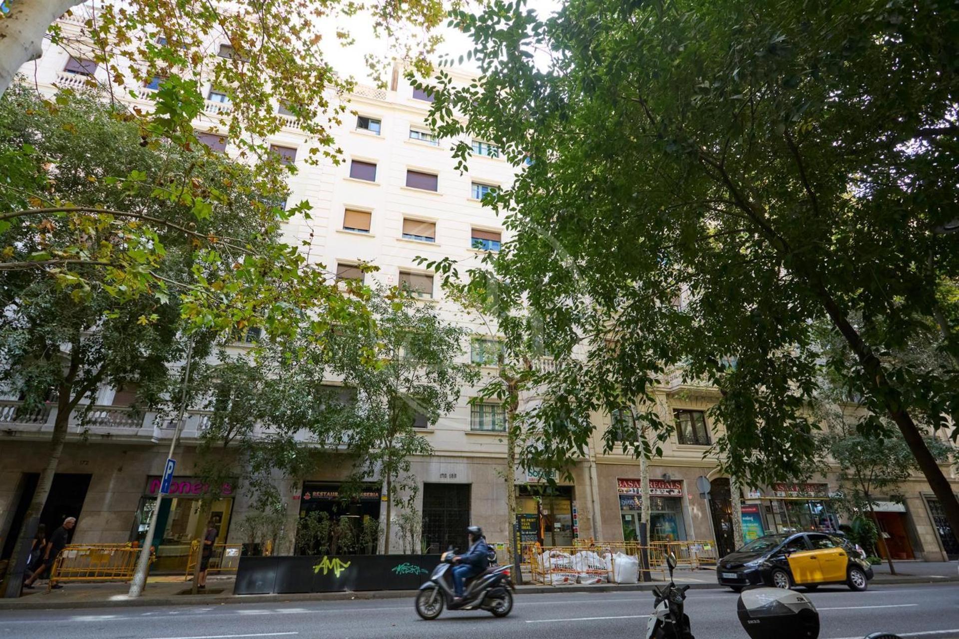 Apartment Centrico