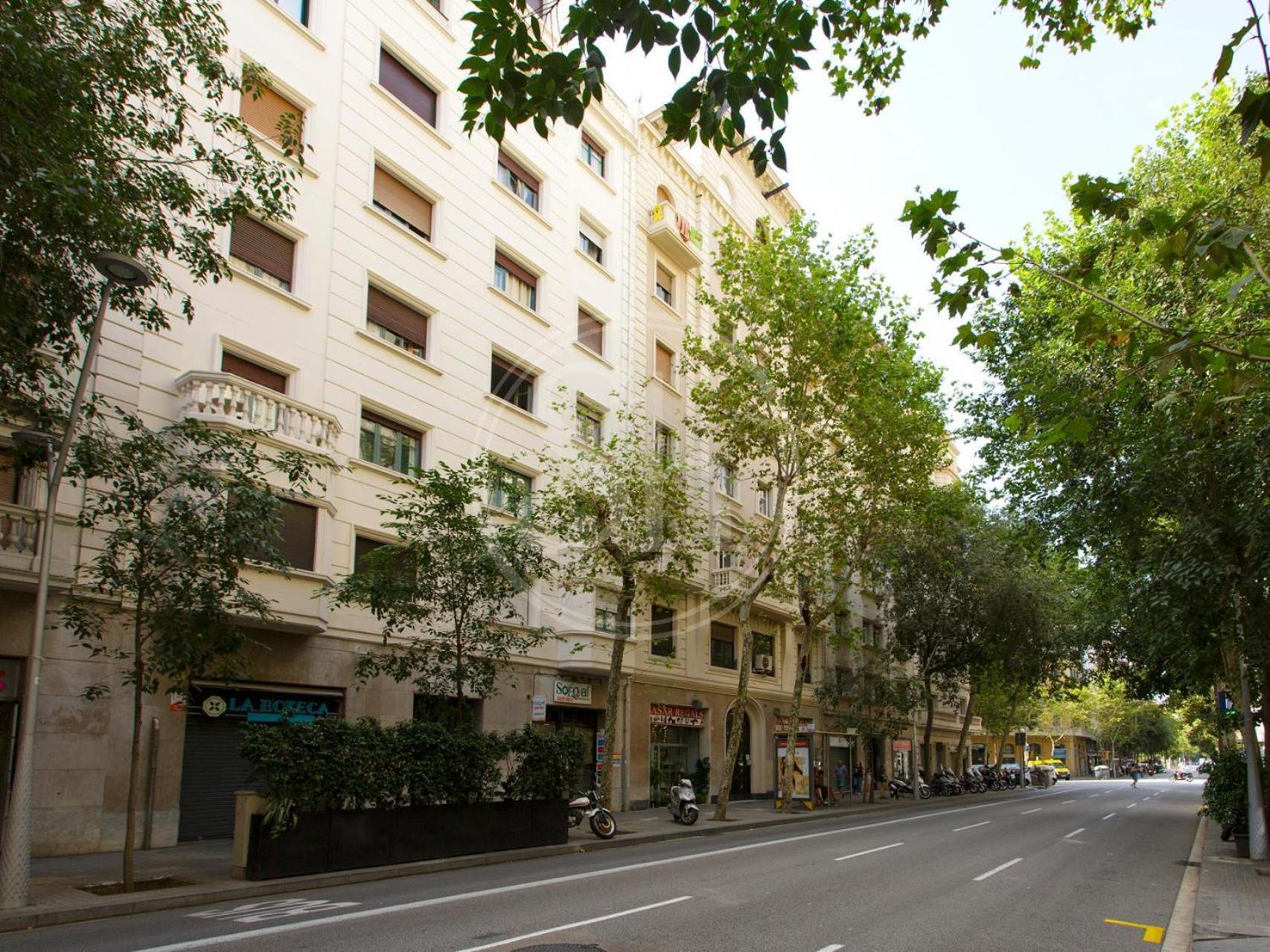 Apartment Luminescent Valencia