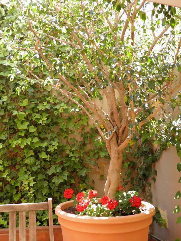 Apartment Suitur Courtyard Barcelona